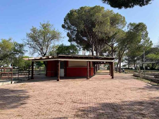 “Parco della Grottella” di Copertino: appunti di un viaggio lungo un anno - Corriere Salentino