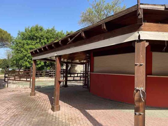 “Parco della Grottella” di Copertino: appunti di un viaggio lungo un anno - Corriere Salentino