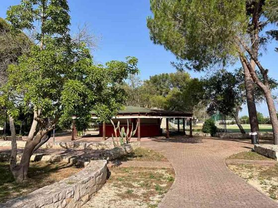 “Parco della Grottella” di Copertino: appunti di un viaggio lungo un anno - Corriere Salentino