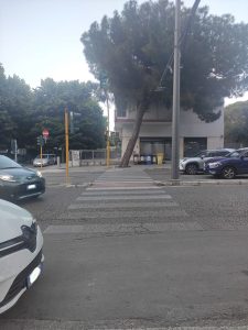 Cade un altro albero in città e danneggia un’auto. “È emergenza verde pubblico a Lecce. Necessario correre ai ripari: ne sono caduti troppi” - Corriere Salentino