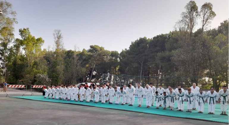 Combat Dragon Salento esami di cintura - Corriere Salentino