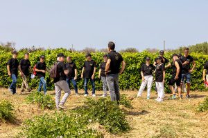 iContadini Experience, vivi una vera esperienza agricola - Corriere Salentino