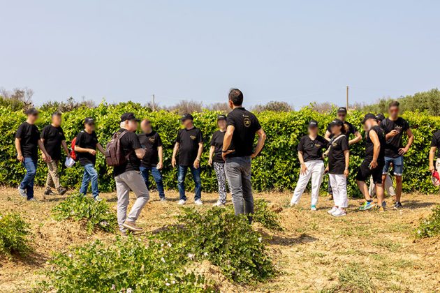 iContadini Experience, vivi una vera esperienza agricola - Corriere Salentino