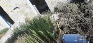 Frigole, Lungomare Mori: la Beirut salentina che da anni aspettiamo di cambiare: edifici pericolanti, degrado e rifiuti in riva al mare - Corriere Salentino