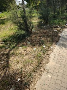 Torre Chianca, marina di Lecce dimenticata: alcuni residenti ripuliscono i marciapiedi da soli da anni. “Piazza Paradiso è diventata un inferno” - Corriere Salentino