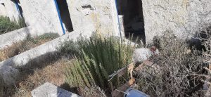 Frigole, Lungomare Mori: la Beirut salentina che da anni aspettiamo di cambiare: edifici pericolanti, degrado e rifiuti in riva al mare - Corriere Salentino