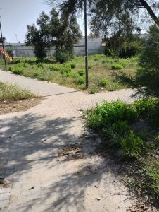 Torre Chianca, marina di Lecce dimenticata: alcuni residenti ripuliscono i marciapiedi da soli da anni. “Piazza Paradiso è diventata un inferno” - Corriere Salentino