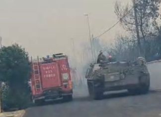 Rogo di San Cataldo: Procura apre indagine con l’accusa di incendio boschivo doloso, caccia al piromane