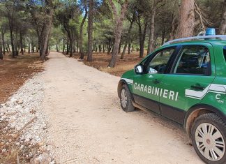 Incendi nel Salento, proseguono le indagini: droni per vigilare sulle zone più a rischio