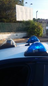 Un cinghiale in libertà sulla provinciale: bloccato dopo ore dai carabinieri - Corriere Salentino