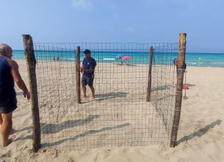 Le tartarughe marine scelgono nuovamente Torre San Giovanni per deporre le uova
