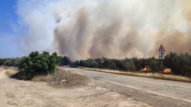 Il Salento brucia, vari incendi sul territorio: in fiamme centinaia di ettari e strade bloccate - Corriere Salentino