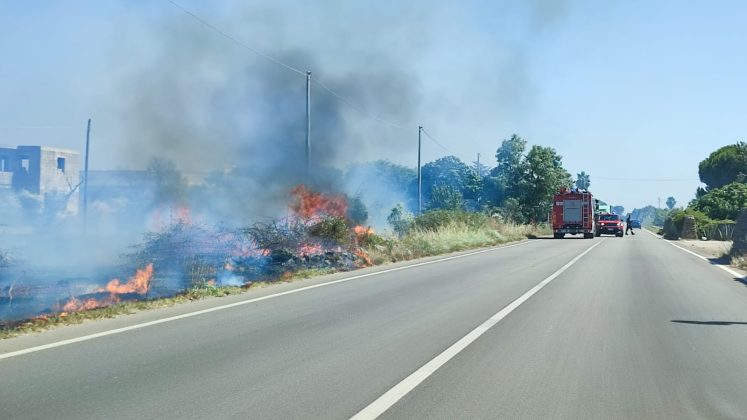 Il Salento brucia, vari incendi sul territorio: in fiamme centinaia di ettari e strade bloccate - Corriere Salentino