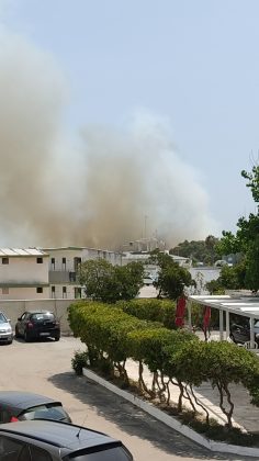 Brucia San Cataldo, incendi in più zone della marina: evacuazione in corso - Corriere Salentino