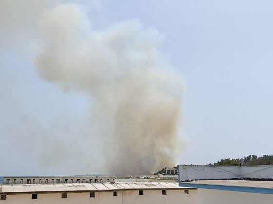 Brucia San Cataldo, incendi in più zone della marina: evacuazione in corso - Corriere Salentino