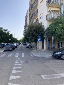 Viale della Repubblica: “quando le strade per l’inferno sono lastricate di buone intenzioni”. Alberi piantati troppo vicino alle finestre e interventi poco sicuri - Corriere Salentino