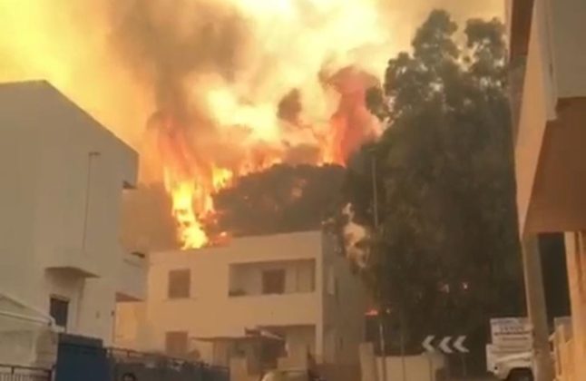 Il Salento brucia, vari incendi sul territorio: in fiamme centinaia di ettari e strade bloccate - Corriere Salentino