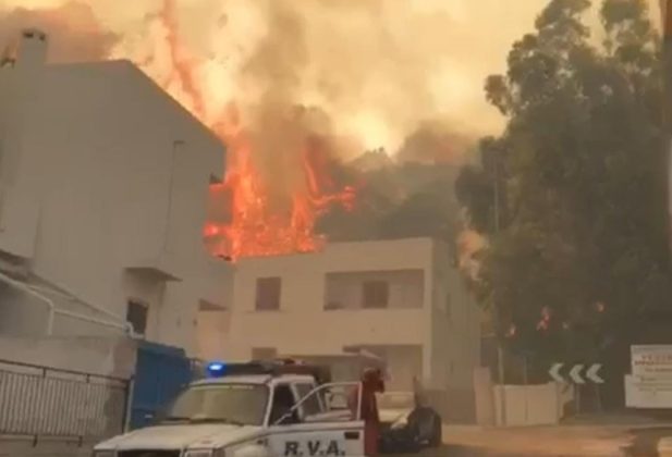 Il Salento brucia, vari incendi sul territorio: in fiamme centinaia di ettari e strade bloccate - Corriere Salentino
