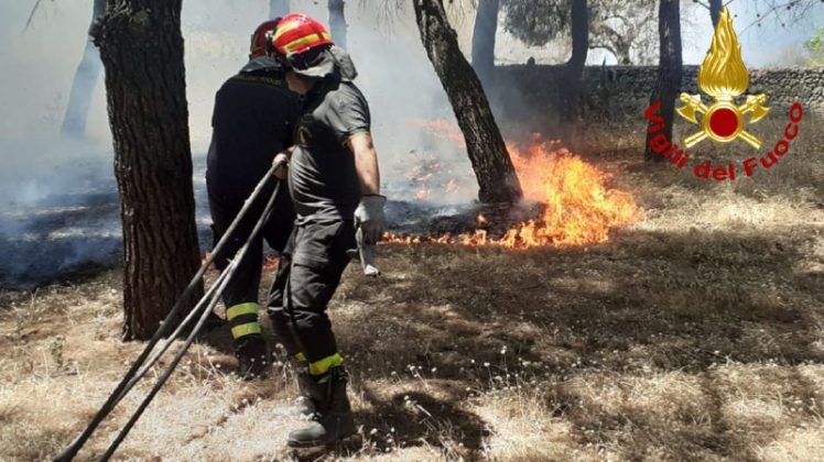 Ancora una giornata infernale nel Salento. Rogo a Castro, le fiamme minacciano il Blubay - Corriere Salentino