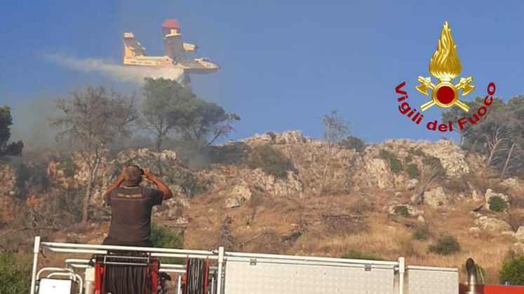 Il Salento brucia, vari incendi sul territorio: in fiamme centinaia di ettari e strade bloccate - Corriere Salentino