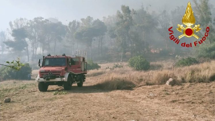 Il Salento brucia, vari incendi sul territorio: in fiamme centinaia di ettari e strade bloccate - Corriere Salentino