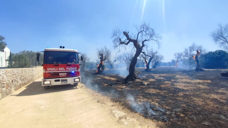 Salento nella morsa degli incendi: altra giornata nera. A Torre Mozza bagnanti e turisti in fuga da spiagge e residence - Corriere Salentino
