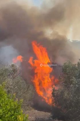 Il Salento brucia, vari incendi sul territorio: in fiamme centinaia di ettari e strade bloccate - Corriere Salentino