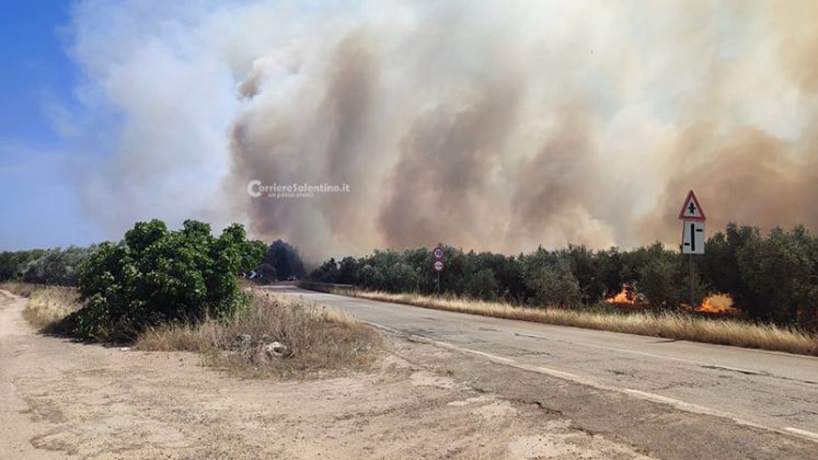 Il Salento brucia, vari incendi sul territorio: in fiamme centinaia di ettari e strade bloccate - Corriere Salentino