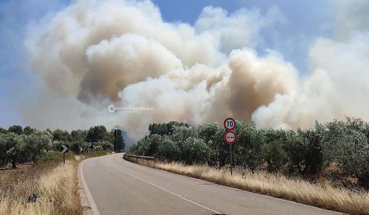 Il Salento brucia, vari incendi sul territorio: in fiamme centinaia di ettari e strade bloccate - Corriere Salentino