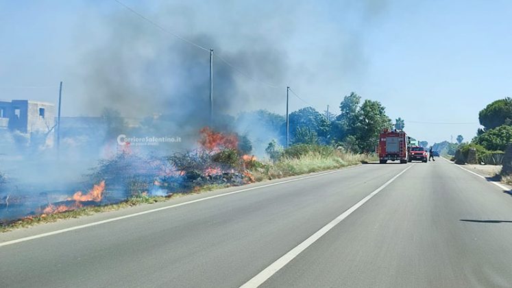 Il Salento brucia, vari incendi sul territorio: in fiamme centinaia di ettari e strade bloccate - Corriere Salentino