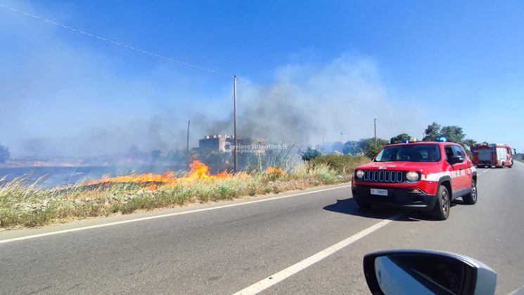 Il Salento brucia, vari incendi sul territorio: in fiamme centinaia di ettari e strade bloccate - Corriere Salentino