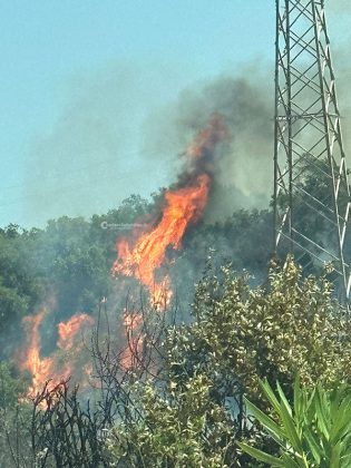 Il Salento brucia, vari incendi sul territorio: in fiamme centinaia di ettari e strade bloccate - Corriere Salentino