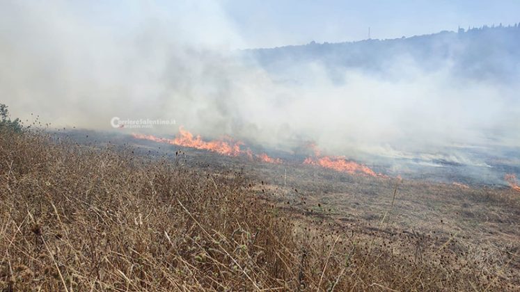 Il Salento brucia, vari incendi sul territorio: in fiamme centinaia di ettari e strade bloccate - Corriere Salentino