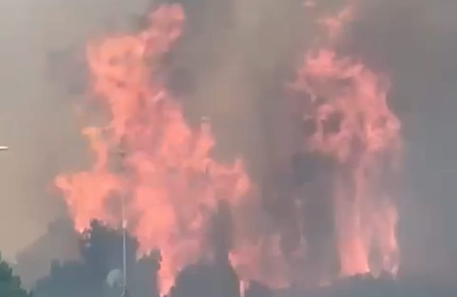 Brucia San Cataldo, incendi in più zone della marina: evacuazione in corso - Corriere Salentino
