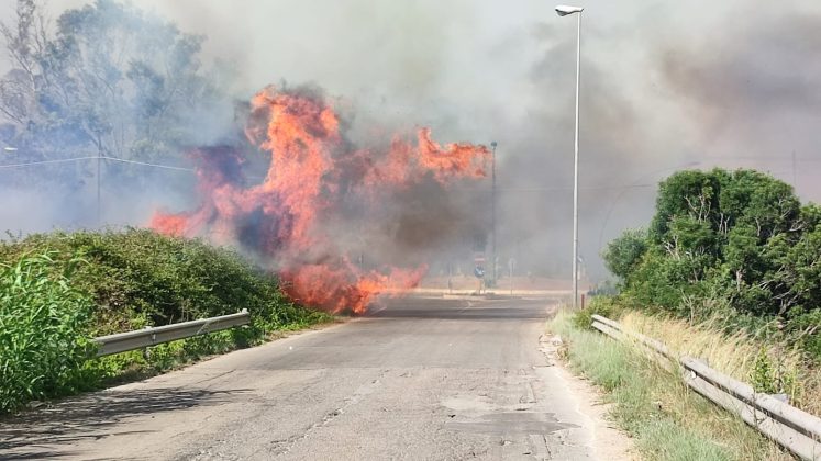 Salento nella morsa degli incendi: altra giornata nera. A Torre Mozza bagnanti e turisti in fuga da spiagge e residence - Corriere Salentino