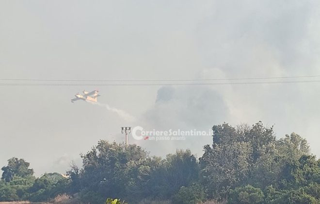 Salento nella morsa degli incendi: altra giornata nera. A Torre Mozza bagnanti e turisti in fuga da spiagge e residence - Corriere Salentino