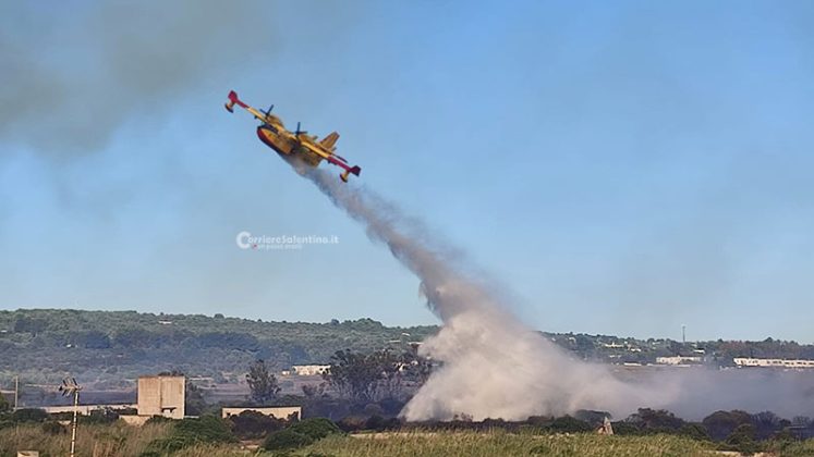 Salento nella morsa degli incendi: altra giornata nera. A Torre Mozza bagnanti e turisti in fuga da spiagge e residence - Corriere Salentino