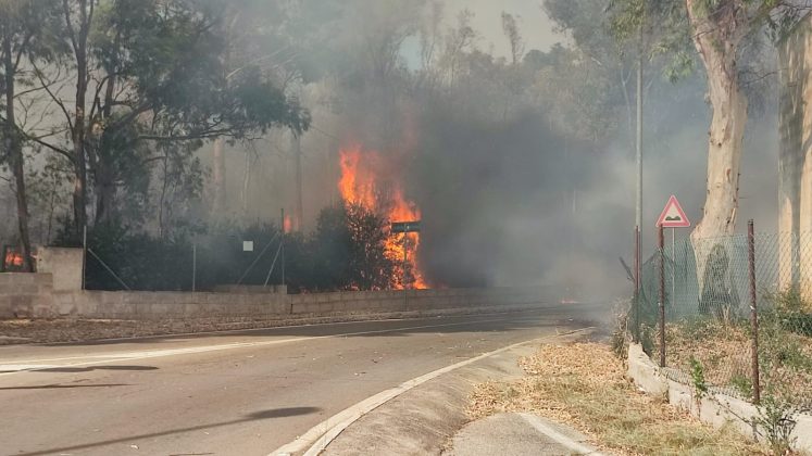 Salento nella morsa degli incendi: altra giornata nera. A Torre Mozza bagnanti e turisti in fuga da spiagge e residence - Corriere Salentino