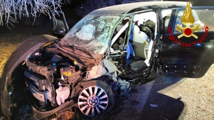 Ennesimo incidente nel Salento: tremendo schianto contro un ulivo, intera famiglia al Fazzi con “codice rosso” - Corriere Salentino