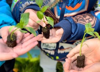 Contrasto alla povertà educativa, l’esempio di “Cime di rapa”