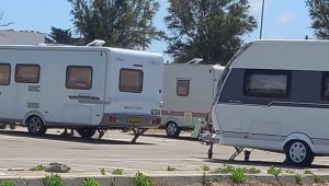 Allarme a Torre Chianca, Poli Bortone: “Superato ogni limite di decoro e convivenza civile” - Corriere Salentino