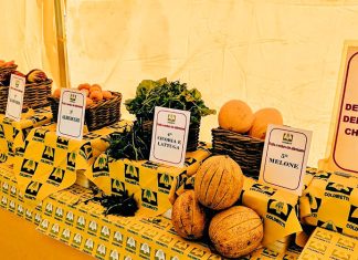 Caldo: Coldiretti Puglia, ecco top ten frutta e verdura per abbronzarsi e idratarsi