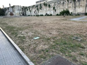 Verde pubblico sempre più secco, Guido: “Mancata cura e manutenzione, un danno anche per l’ambiente” - Corriere Salentino