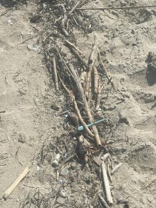 Torre Chianca, ad agosto siringhe e sporcizia nella spiaggia libera. I residenti protestano: “Non è un bel biglietto da visita per i turusti” - Corriere Salentino