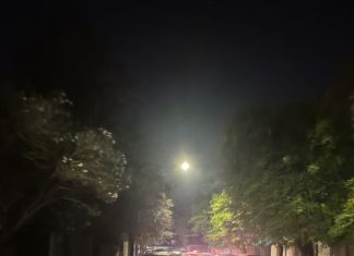 Caos in via Rapolla, auto imprigionate e traffico impazzito per la Festa di Sant’Oronzo a Lecce