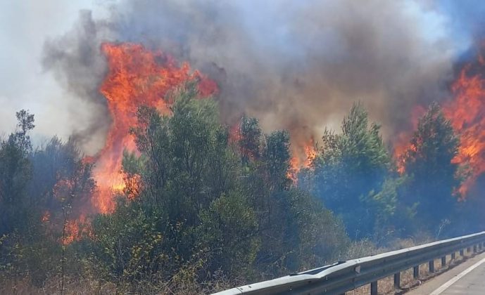 Brucia il Salento, canadair in azione a Rivabella - Corriere Salentino