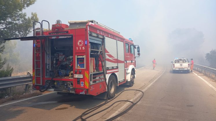 Brucia il Salento, canadair in azione a Rivabella - Corriere Salentino