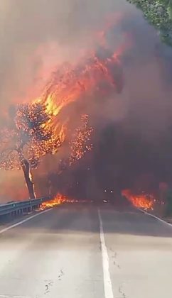 Brucia il Salento, canadair in azione a Rivabella - Corriere Salentino