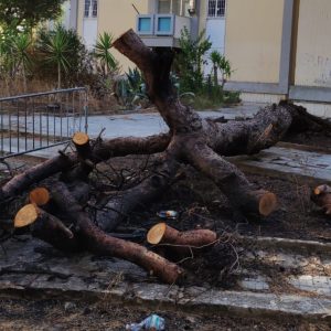 Pasquino: “Nella 167 A abbandono, degrado, incuria e trascuratezza” - Corriere Salentino