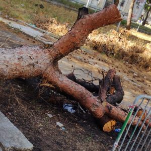 Pasquino: “Nella 167 A abbandono, degrado, incuria e trascuratezza” - Corriere Salentino